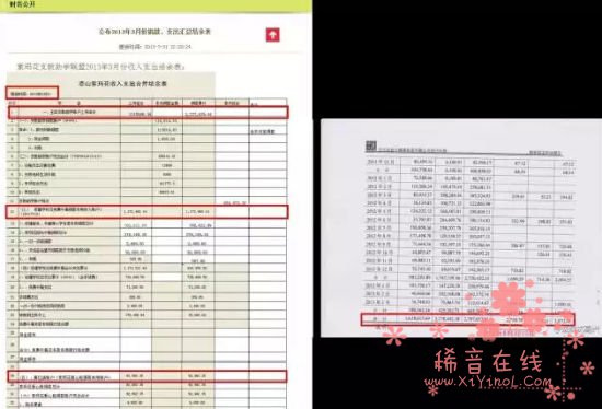 新浪微博网友对比截至2013年3月份“助学联盟”的财务公开和审计演讲，发觉这两份演讲的支出合计一项有30.73万元的差异