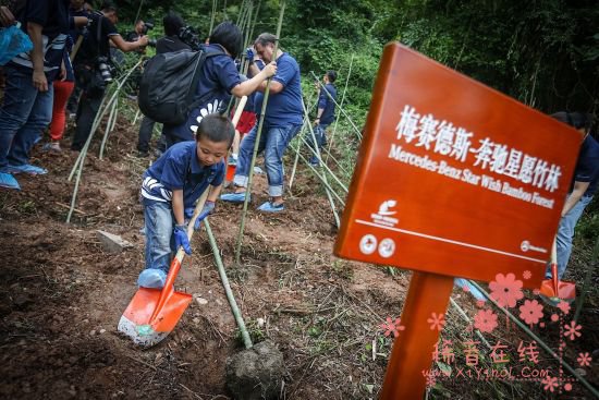 星愿使者在中国保护大熊猫研究中心都江堰基地进行志愿服务