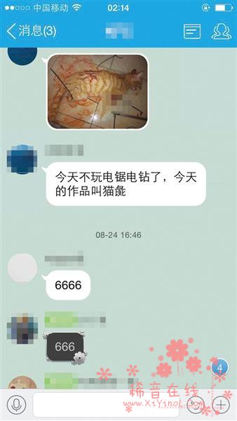 大学生虐猫被人肉 虐猫群按数量晋级