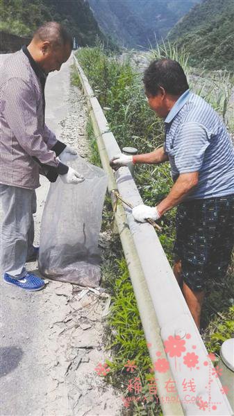 四川千佛山有人放生两车蛇 村民不敢上山采药