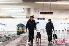 “天路”卫士与警犬巴克的春运故事